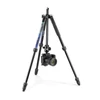Kép 5/13 - Manfrotto Element MII állvány Alu 4 szekció, gömbfej, kék (MKELMII4BL-BH)